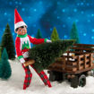 Picture of ELF ON THE SHELF - CHRISTMAS TREE PYJAMAS